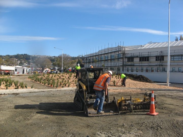 Dunedin Stadium Landscape Planting SH88