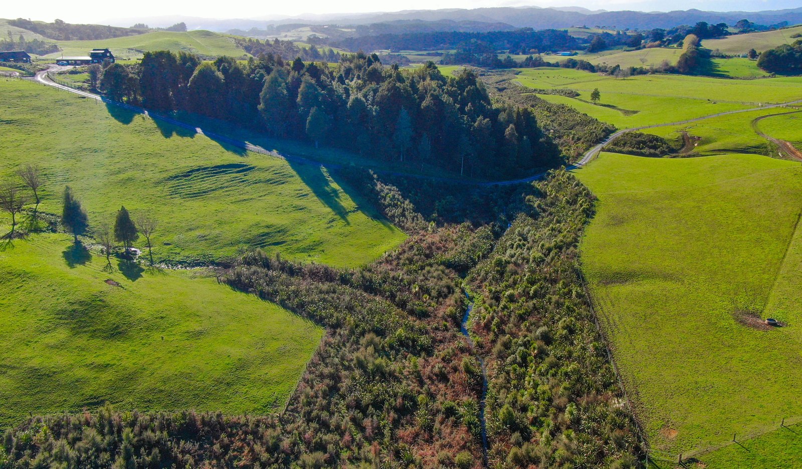 Aerial view of native revegetation established through a gully corridor within farmland